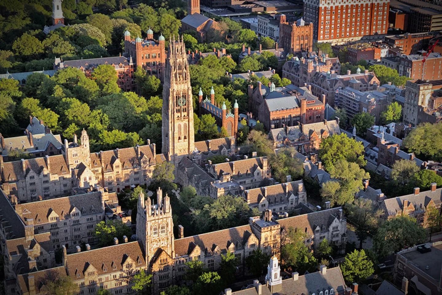 Executive traveler entering luxury vehicle from car service in New Haven CT for business meeting