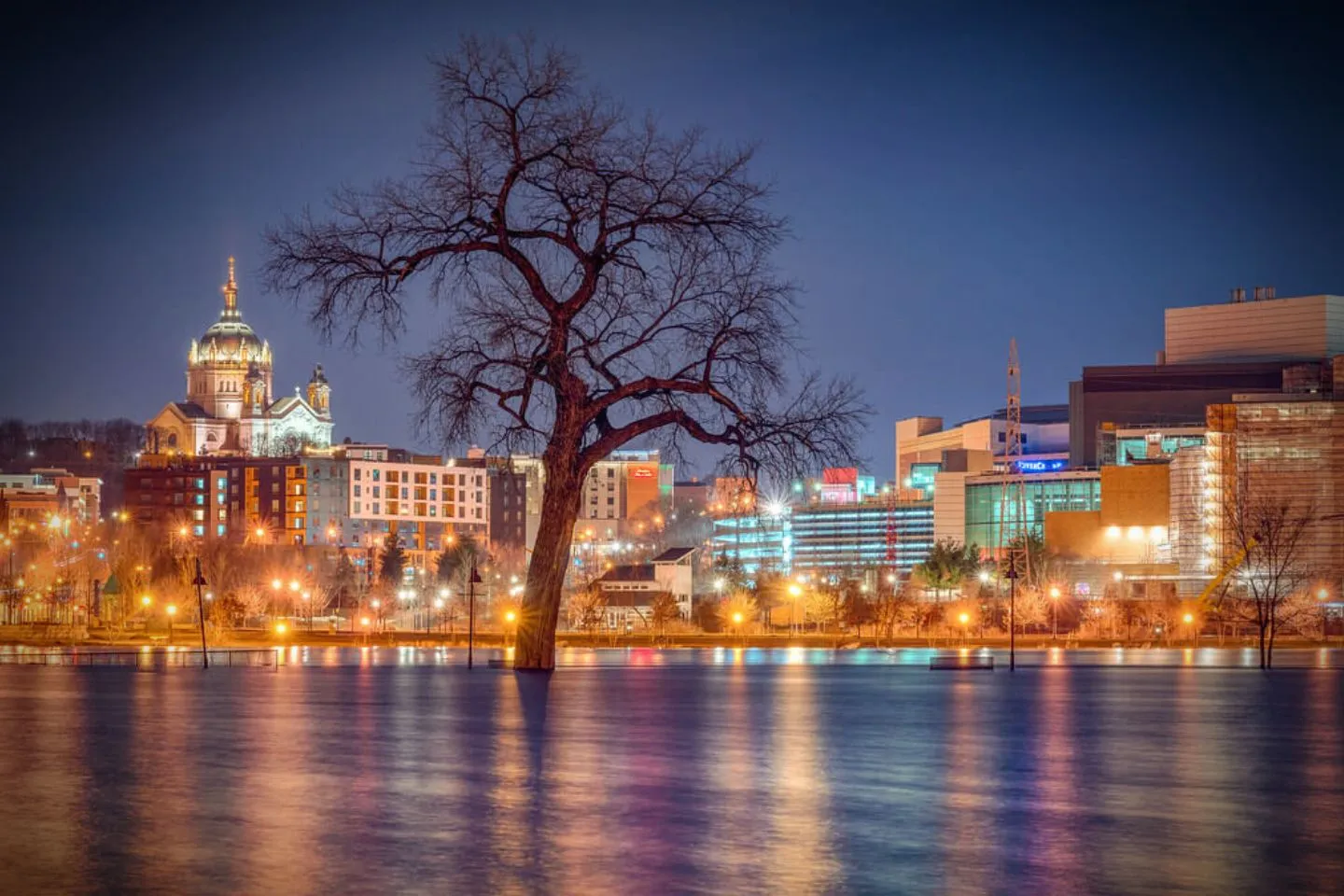 Corporate client using Mississippi chauffeur service in luxury interior vehicle with premium seating