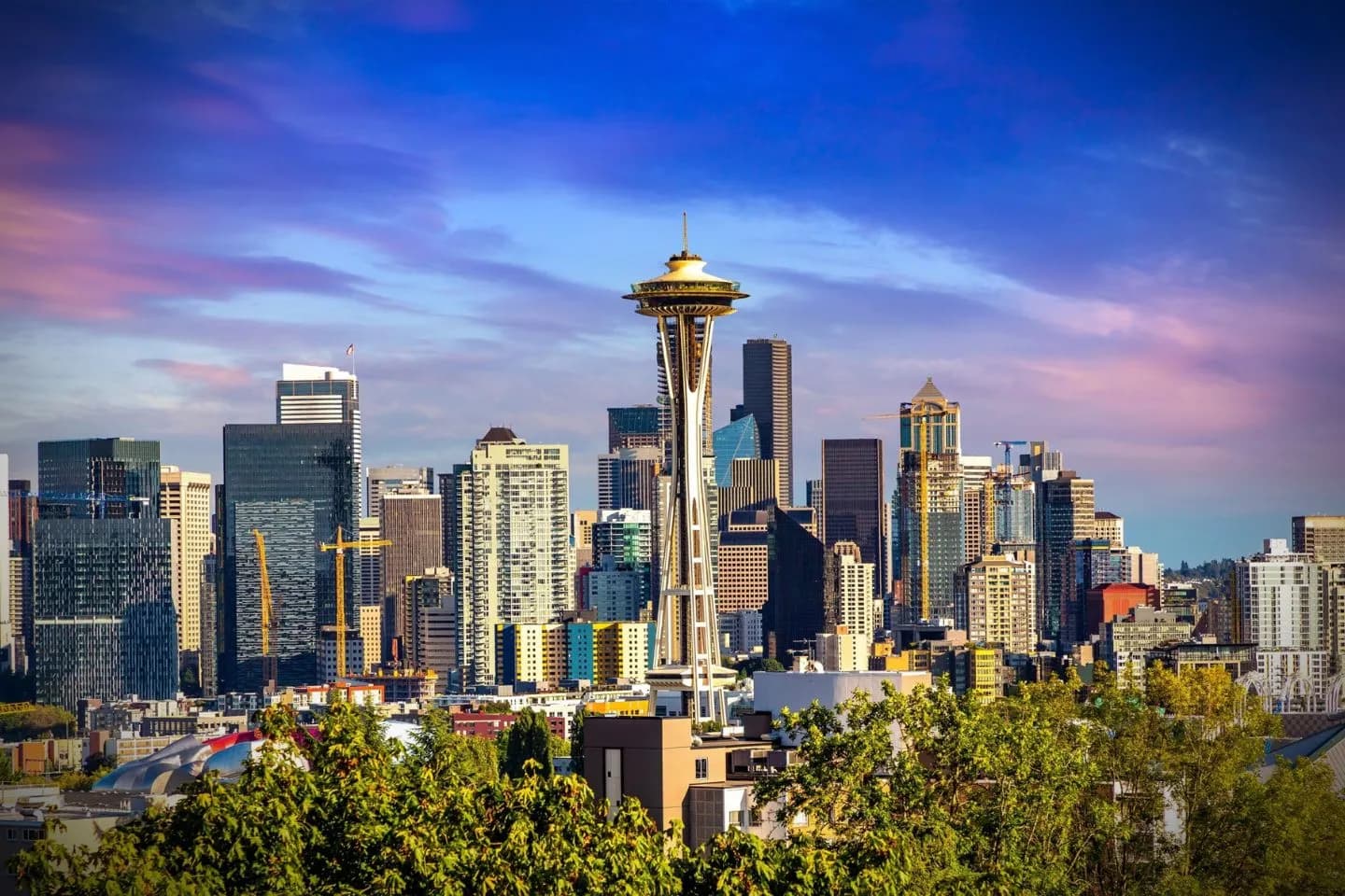 Nighttime city ride with Washington WA Chauffeur Service luxury car driving through illuminated streets