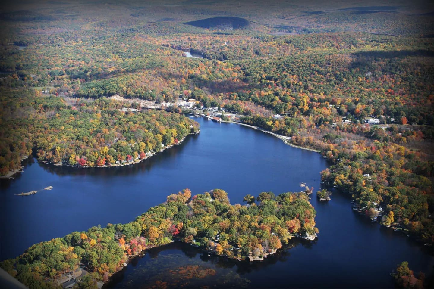 Artboard 1 Artboard 1