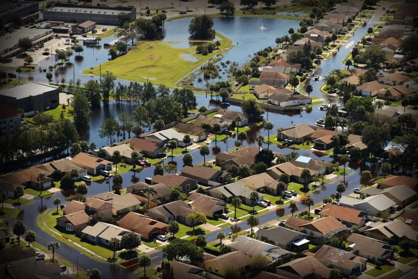 Artboard 1 Artboard 1