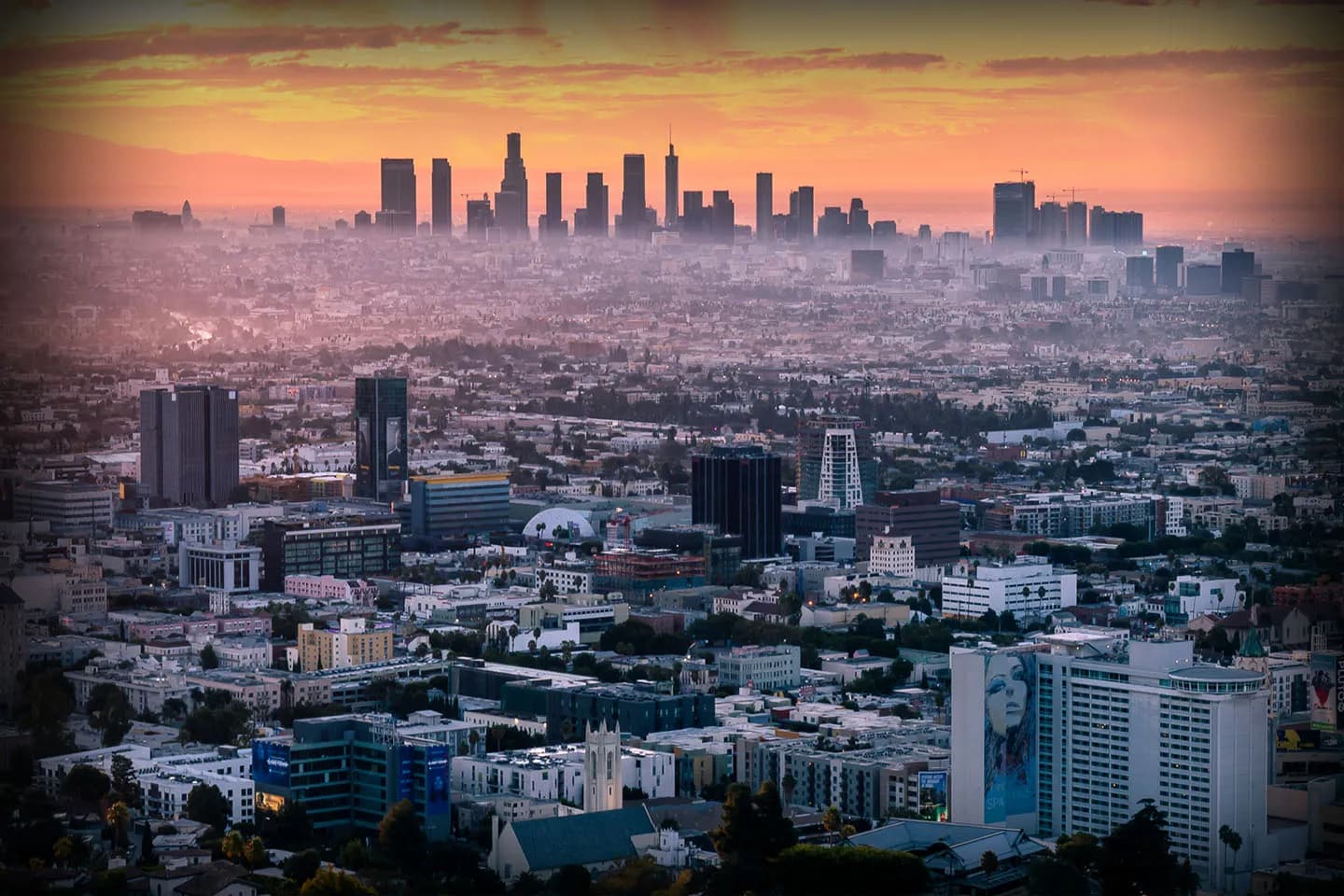 Artboard 1 Artboard 1